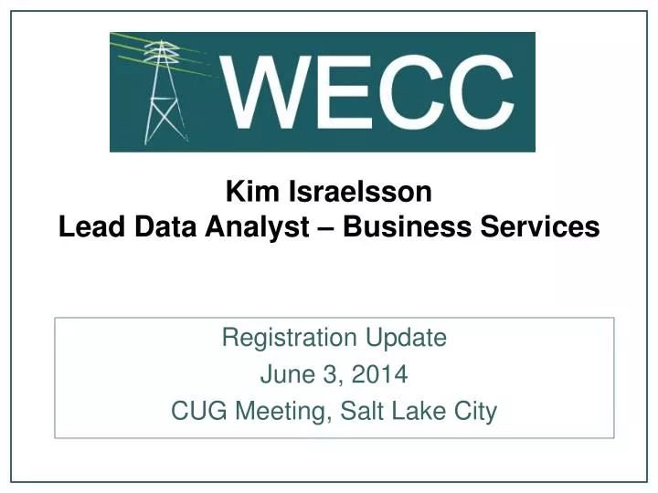 kim israelsson lead data analyst business services