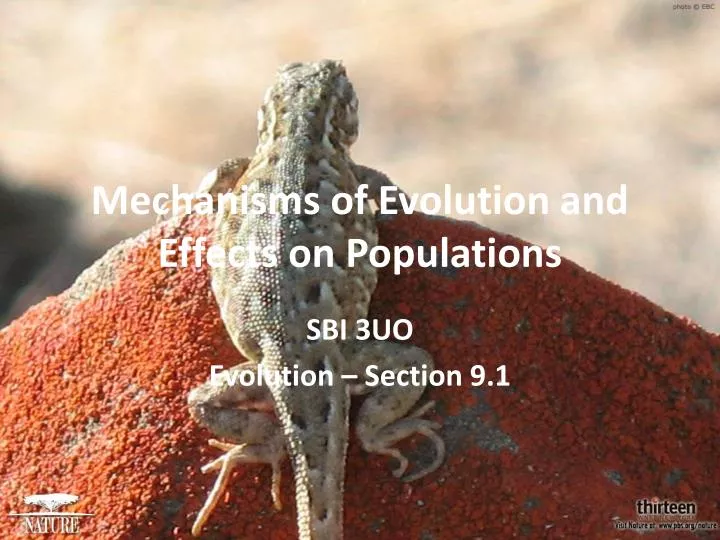 mechanisms of evolution and effects on populations