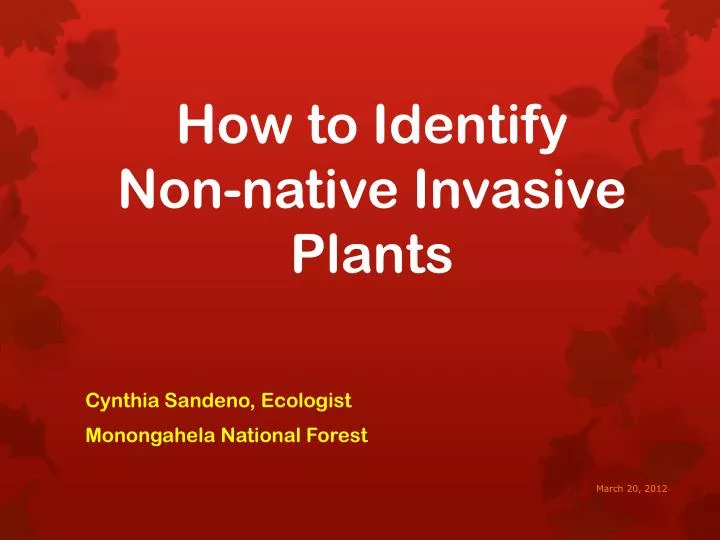 how to identify non native invasive plants