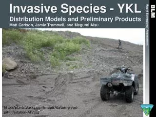 http://plants.alaska.gov/images/dalton-gravel-pit-infestation-ATV.jpg