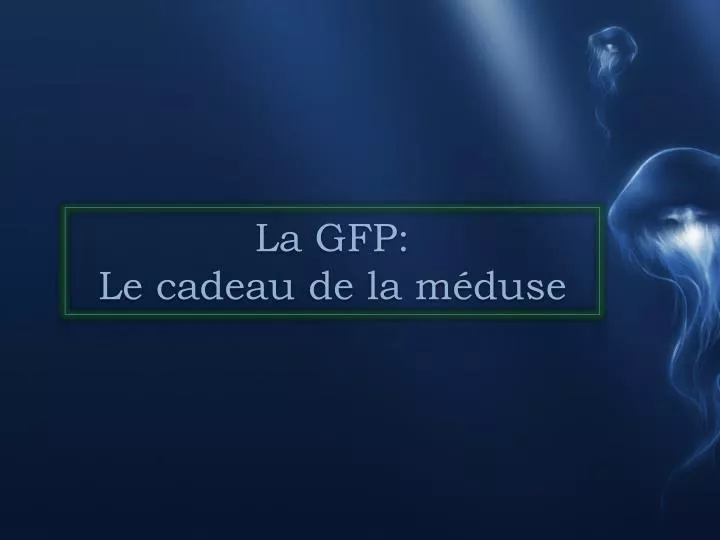 la gfp le cadeau de la m duse