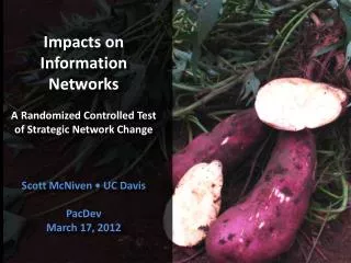 Impacts on Information Networks A Randomized Controlled Test of Strategic Network Change