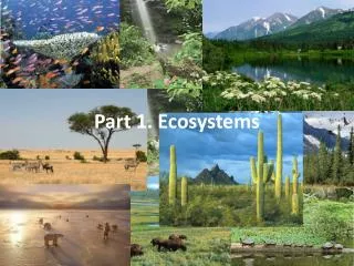 Part 1. Ecosystems