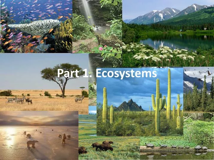 part 1 ecosystems