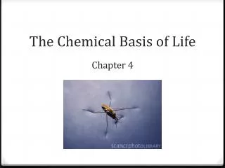 The Chemical Basis of Life Chapter 4