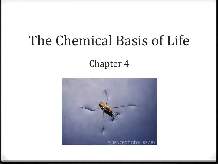 the chemical basis of life chapter 4