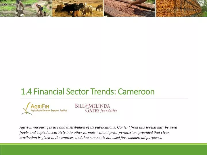 1 4 financial sector trends cameroon