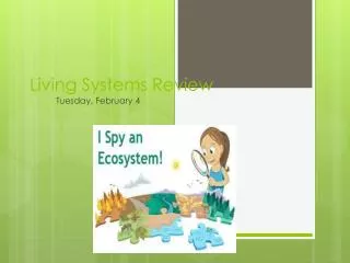 Living Systems Review