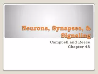 Neurons, Synapses, &amp; Signaling