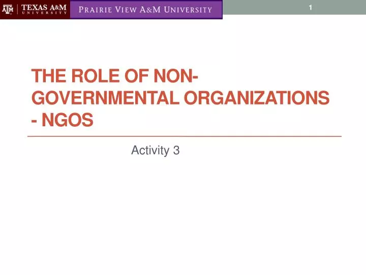 the role of non governmental organizations ngos