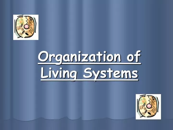 organization of living systems