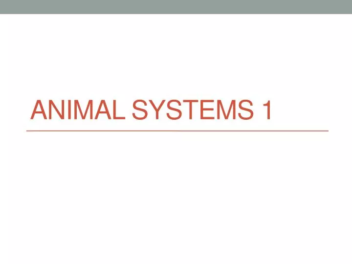 animal systems 1
