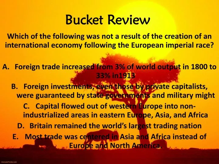 bucket review