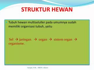 struktur hewan