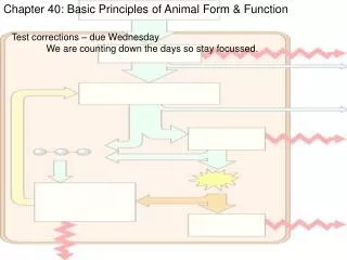 Chapter 40: Basic Principles of Animal Form &amp; Function