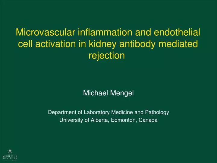 microvascular inflammation and endothelial cell activation in kidney antibody mediated rejection