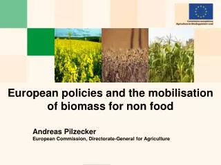 European policies and the mobilisation of biomass for non food