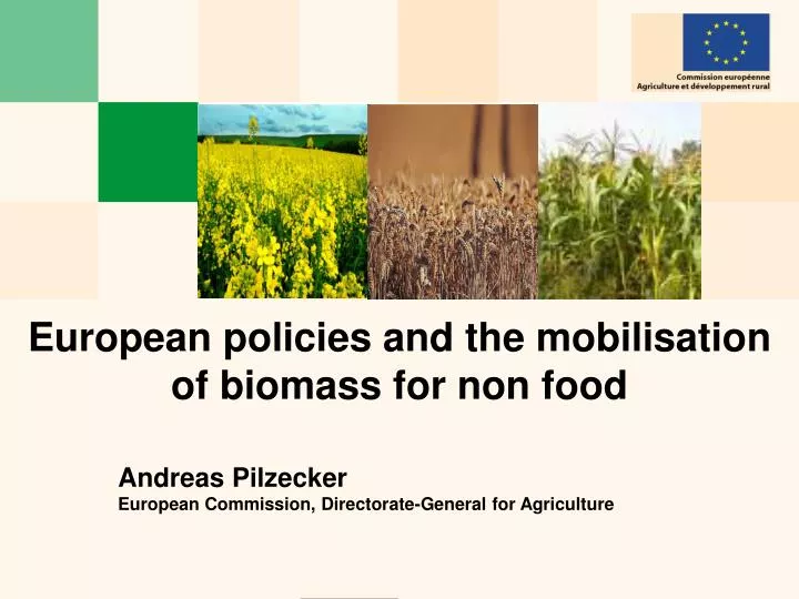 european policies and the mobilisation of biomass for non food
