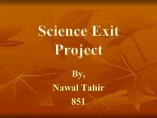 Science Exit Project