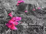 Magic Mushrooms - slide 1