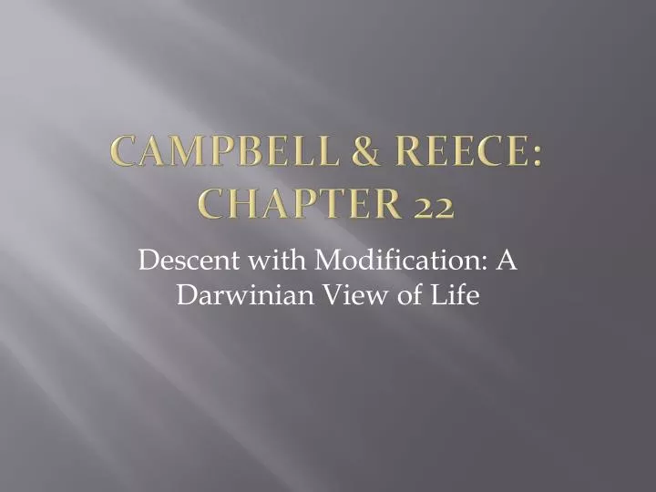 campbell reece chapter 22