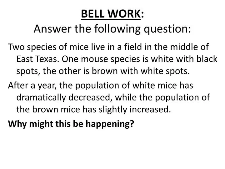 bell work answer the following question