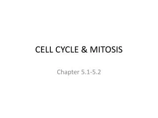 CELL CYCLE &amp; MITOSIS