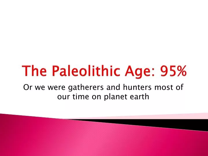 the paleolithic age 95