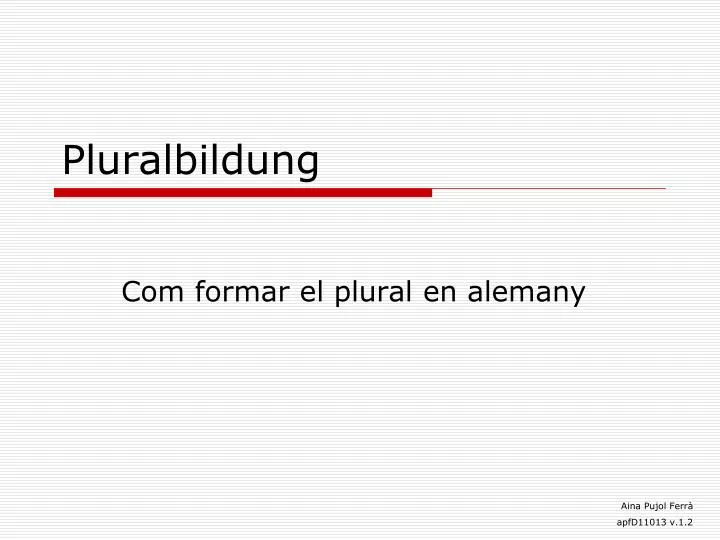 pluralbildung