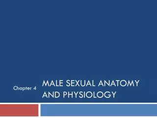 Male Sexual Anatomy and Physiology