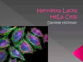 Henrietta Lacks HeLa Cells