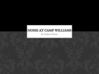 Noise At camp Williams