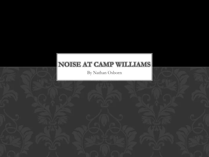 noise at camp williams