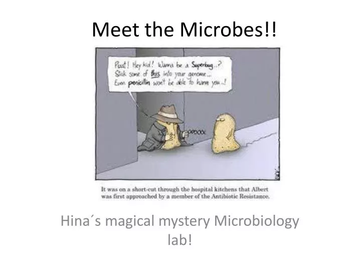 meet the microbes