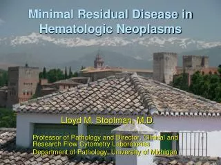 Minimal Residual Disease in Hematologic Neoplasms