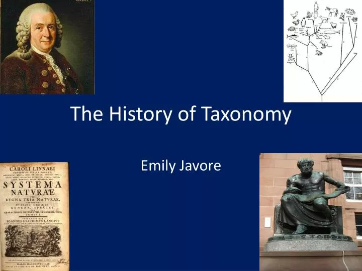 the history of taxonomy