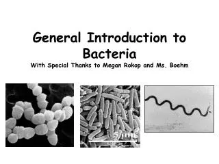 General Introduction to Bacteria With Special Thanks to Megan Rokop and Ms. Boehm