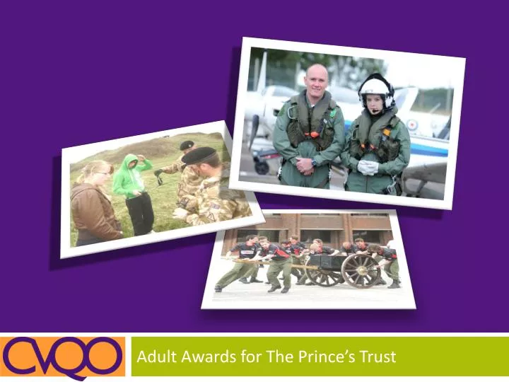 adult awards for the prince s trust
