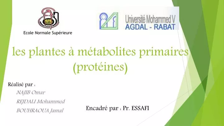 les plantes m tabolites primaires prot ines