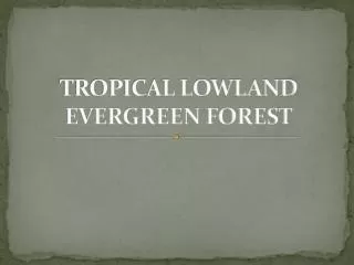 TROPICAL LOWLAND EVERGREEN FOREST