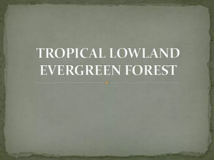 tropical lowland evergreen forest