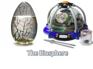 The Biosphere