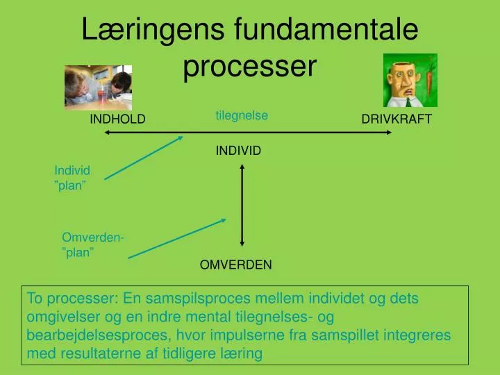 l ringens fundamentale processer