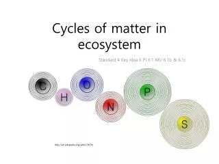 Cycles of matter in ecosystem