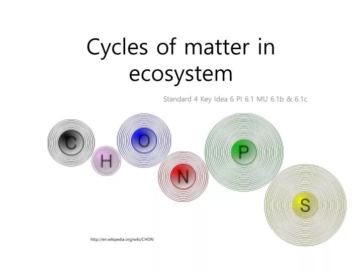 cycles of matter in ecosystem