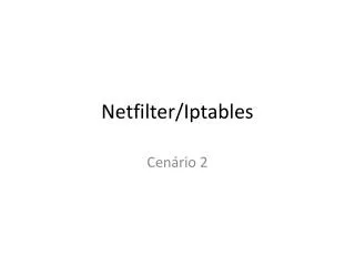 netfilter iptables