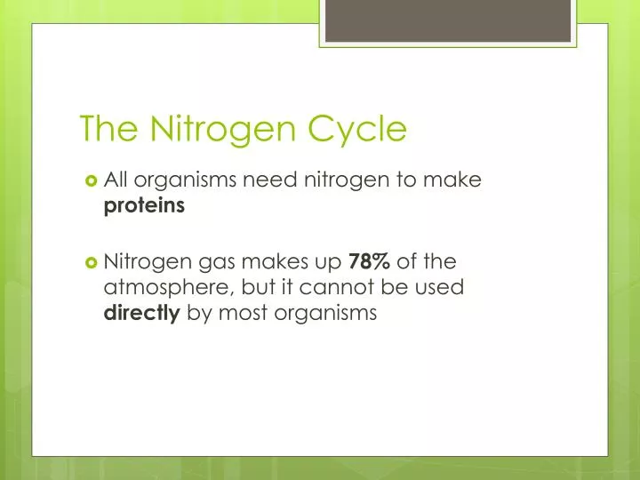 the nitrogen cycle