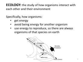 ECOLOGY: the study of how organisms interact with each other and their environment