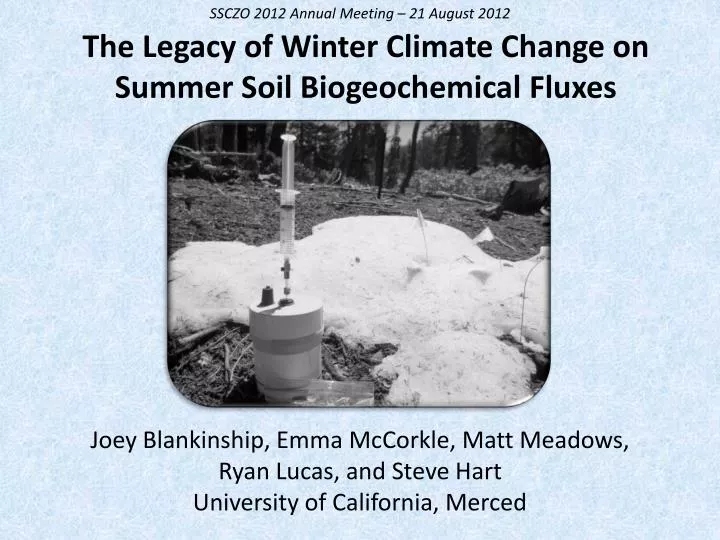 the legacy of winter climate change on summer soil biogeochemical fluxes