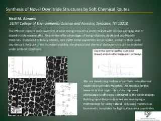 Synthesis of Novel Oxynitride Structures by Soft Chemical Routes